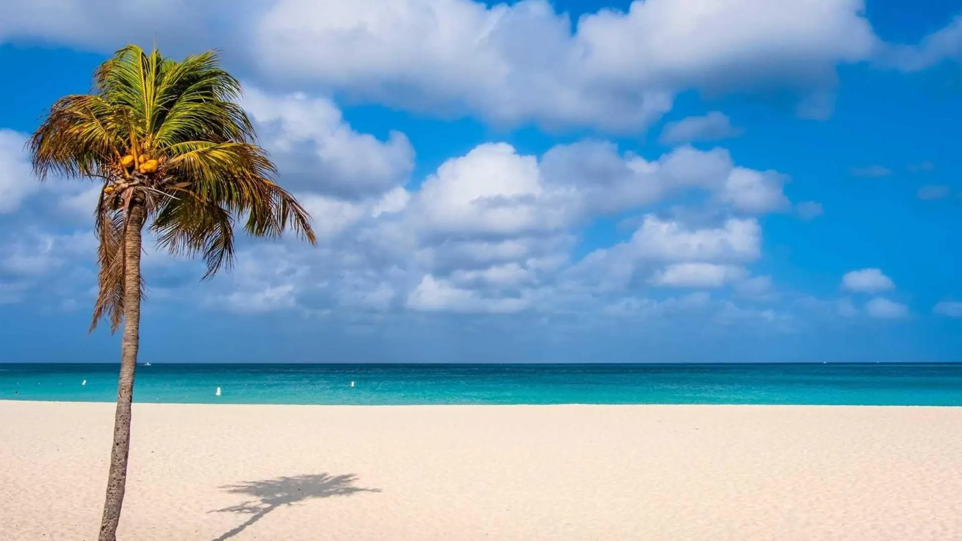 Beachfront - Turquoise View 2Br Condo - Bc353 Palm Beach 0*,  Aruba