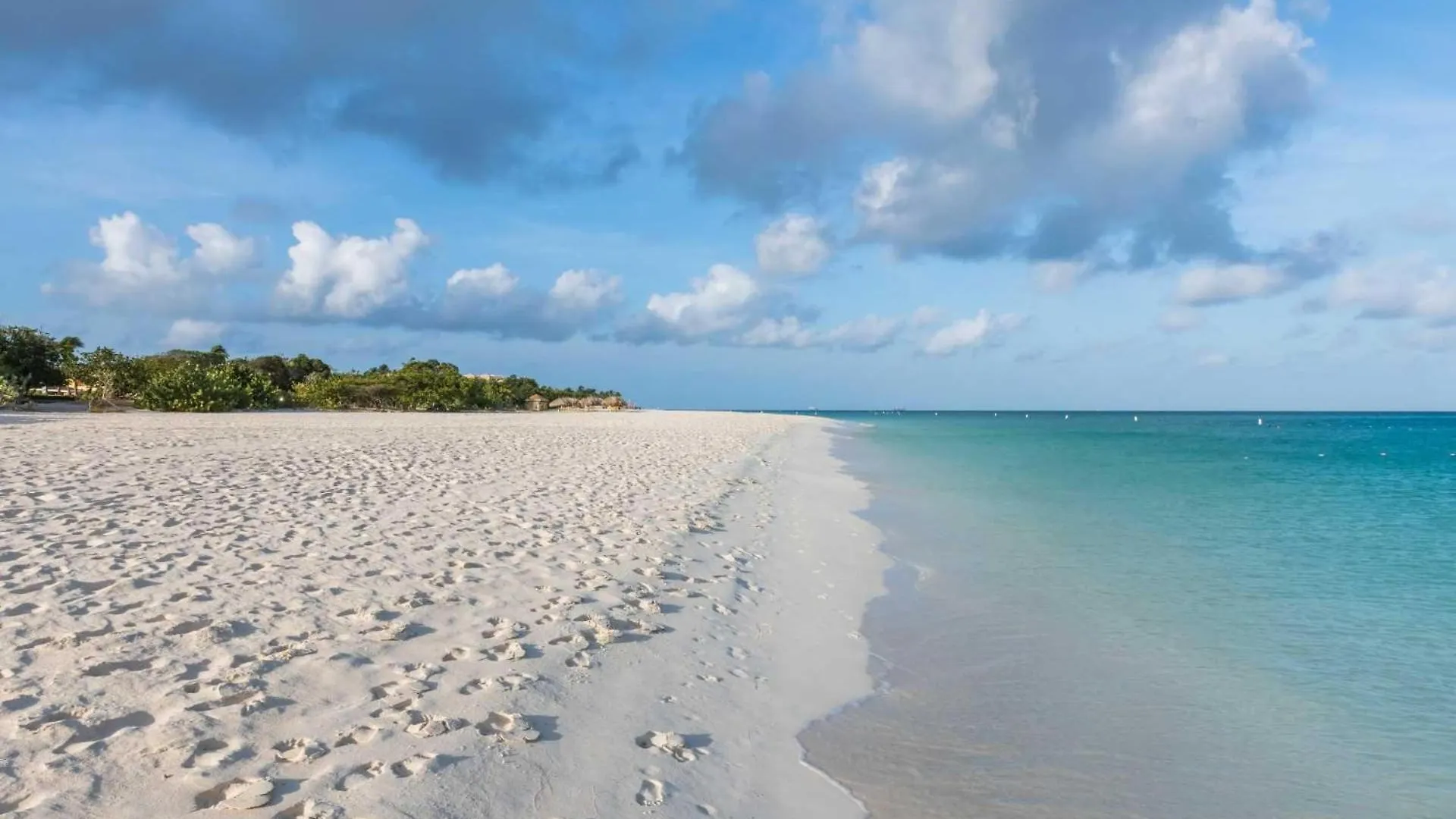 Beachfront - Turquoise View 2Br Condo - Bc353 Palm Beach Holiday home